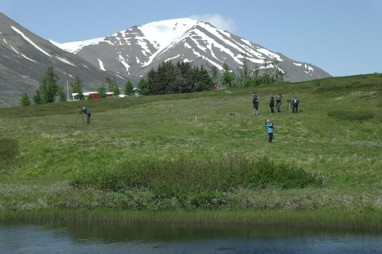 Hotel Dalvik Luaran gambar